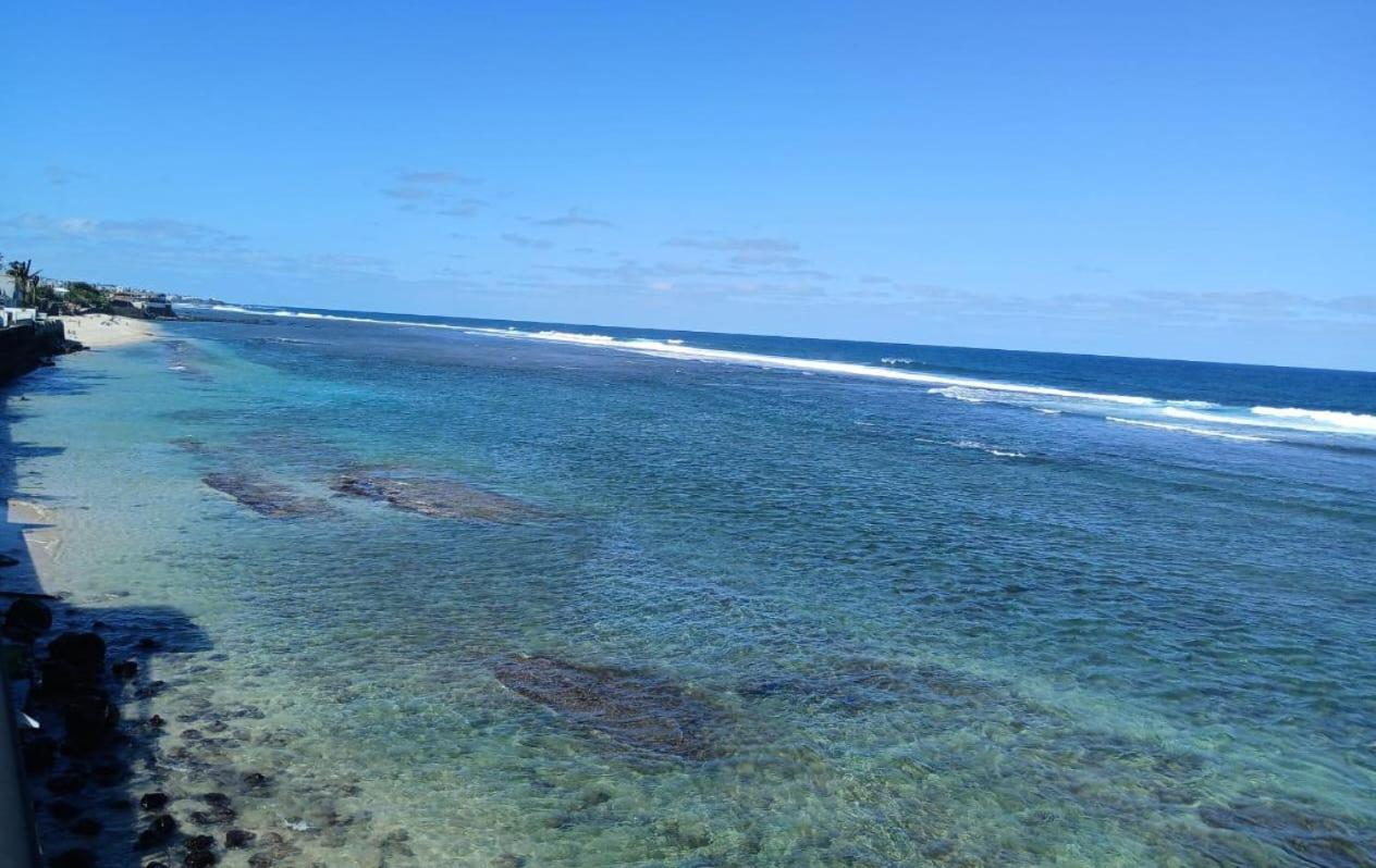 Studio "Requin" - Plage De Saint-Pierre Eksteriør bilde